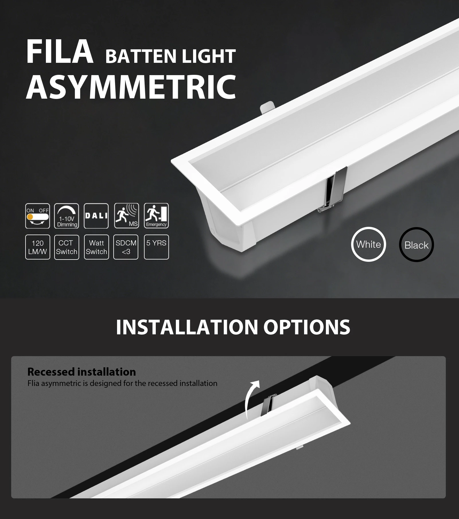 Flia-asymmetric 01 Flia-asymmetric 01